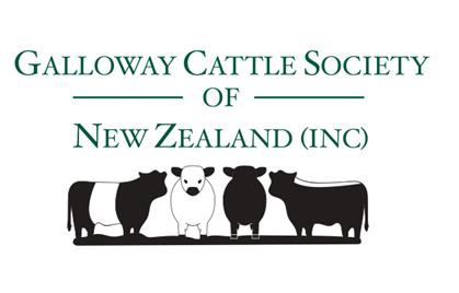 Galloway Cattle align=